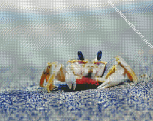 Hermit Crab Animal Diamond Painting