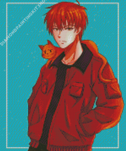 Kyo Sohma And Cat Diamond Painting