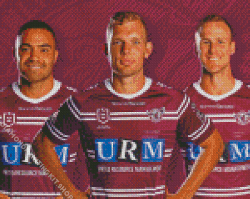 Manly Warringah Sea Eagles Players Diamond Painting