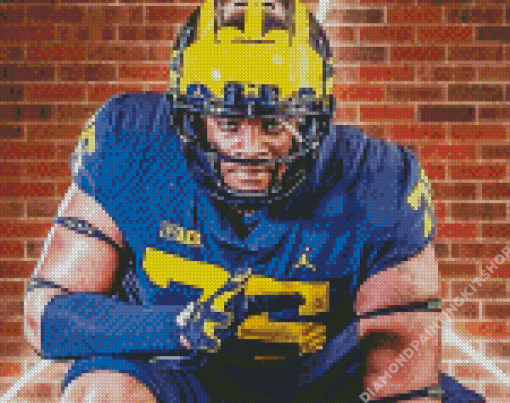 Michigan Wolverines Player Diamond Painting