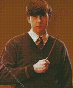 Neville Longbottom Character Diamond Painting