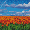 Orange Tulips Field Diamond Painting