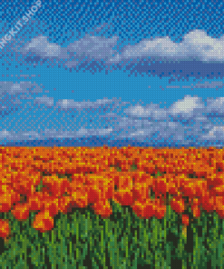 Orange Tulips Field Diamond Painting