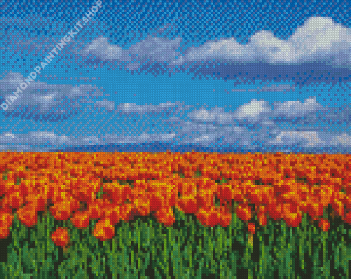 Orange Tulips Field Diamond Painting