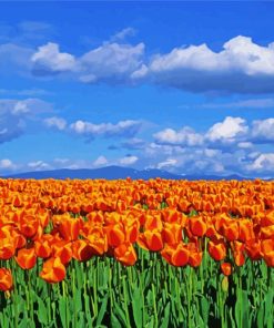 Orange Tulips Field Diamond Painting