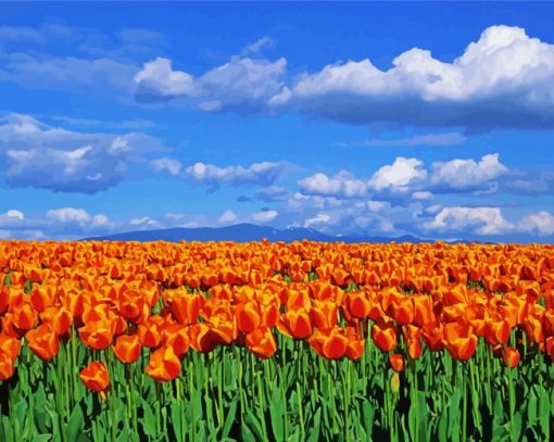 Orange Tulips Field Diamond Painting