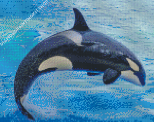 Orca Fish Diamond Painting