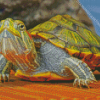 Red Eared Slider Turtle Diamond Painting