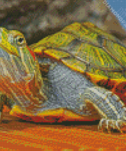 Red Eared Slider Turtle Diamond Painting