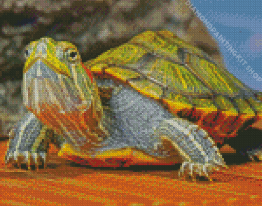 Red Eared Slider Turtle Diamond Painting