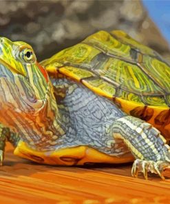 Red Eared Slider Turtle Diamond Painting