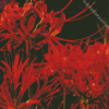 Red Spider Lily Flowers Diamond Painting