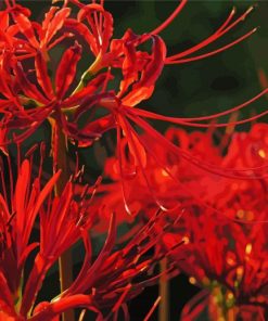 Red Spider Lily Flowers Diamond Painting