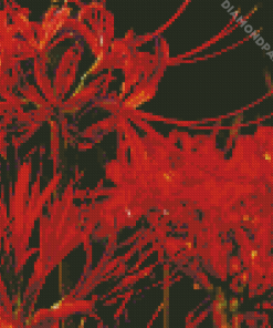 Red Spider Lily Flowers Diamond Painting