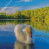 Swans In Water Diamond Painting