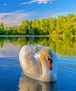 Swans In Water Diamond Painting