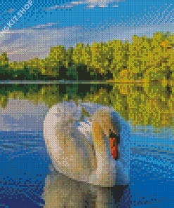 Swans In Water Diamond Painting