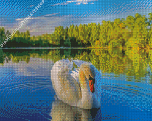 Swans In Water Diamond Painting