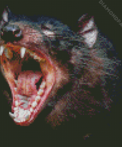 Tasmanian Devil Animal Diamond Painting