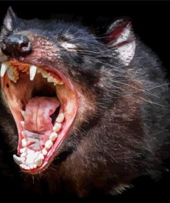 Tasmanian Devil Animal Diamond Painting