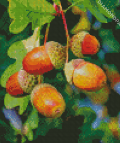 The Acorn Tree Diamond Painting