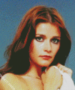 The Beautiful Margot Kidder Diamond Painting