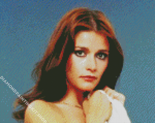 The Beautiful Margot Kidder Diamond Painting