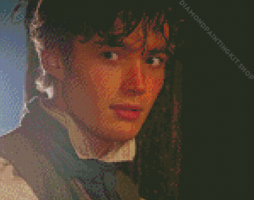 Toby Regbo From Treasure Island Diamond Painting