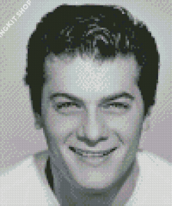 Tony Curtis Diamond Painting