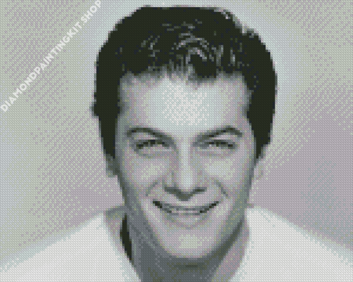 Tony Curtis Diamond Painting