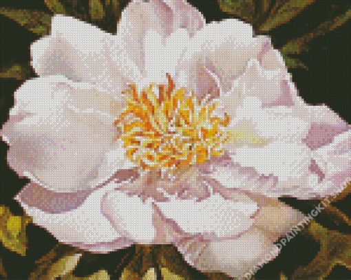 White Blooming Peony Diamond Painting