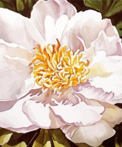 White Blooming Peony Diamond Painting