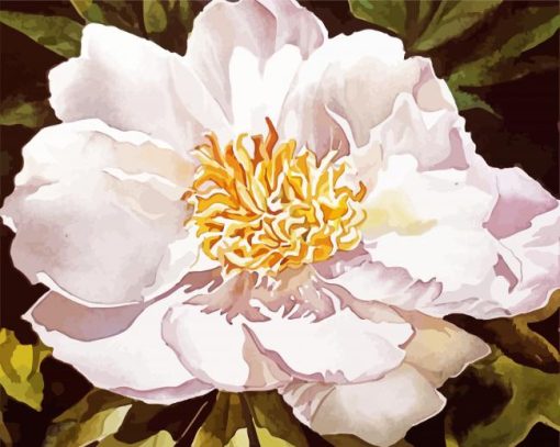 White Blooming Peony Diamond Painting