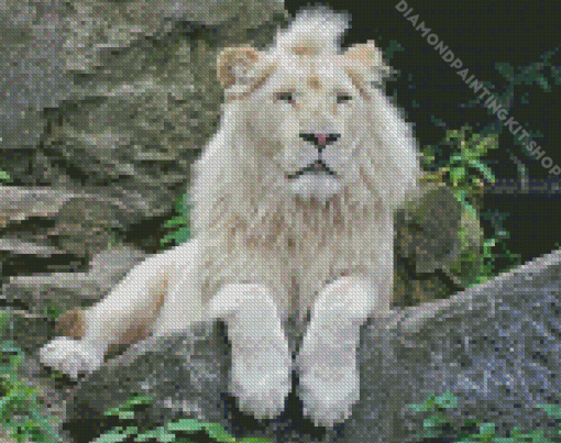 White Lion Animal Diamond Painting