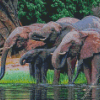 Wild African Elephant In Water Diamond Painting