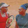 Williams Sisters Diamond Painting