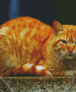 Yellow Cat Diamond Painting