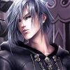 Zexion Kingdom Hearts Diamond Painting