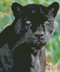 Aesthetic Black Jaguar Diamond Painting