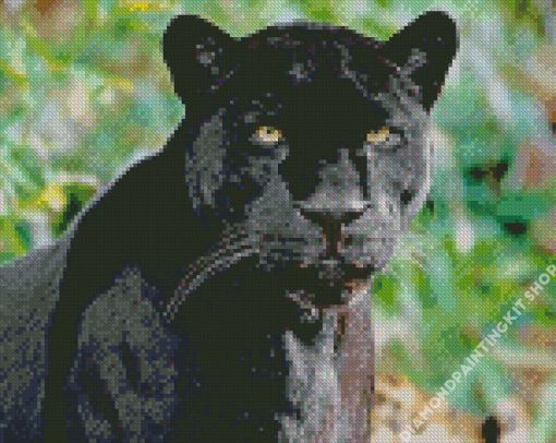 Aesthetic Black Jaguar Diamond Painting