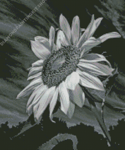 Aesthetic Black And White Sunflower Diamond Painting