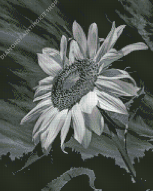 Aesthetic Black And White Sunflower Diamond Painting