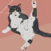 Aesthetic Funny Cat Diamond Painting