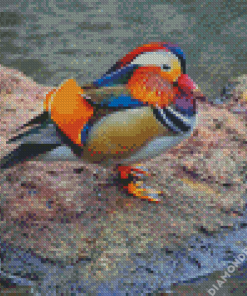 Aesthetic Mandarin Duck Diamond Painting