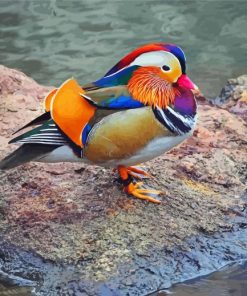 Aesthetic Mandarin Duck Diamond Painting