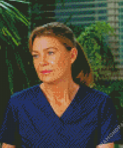 Aesthetic Meredith Grey Diamond Painting