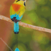 Aesthetic Motmot Bird Diamond Painting