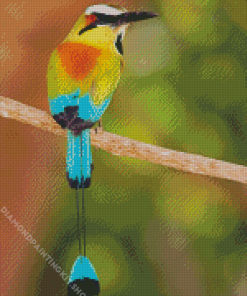 Aesthetic Motmot Bird Diamond Painting