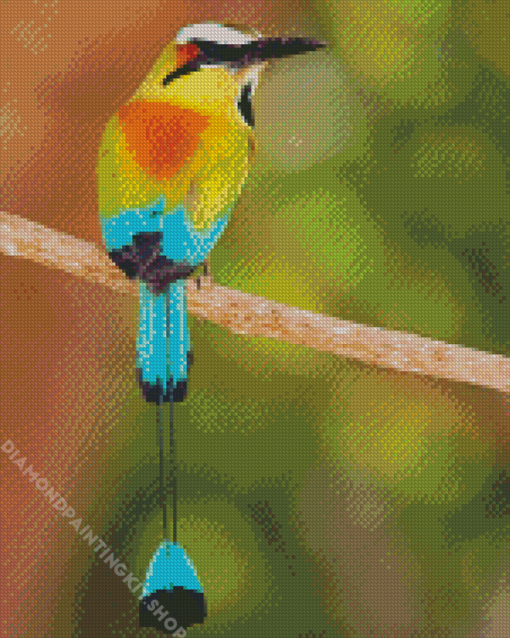 Aesthetic Motmot Bird Diamond Painting