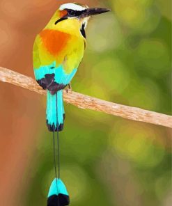 Aesthetic Motmot Bird Diamond Painting